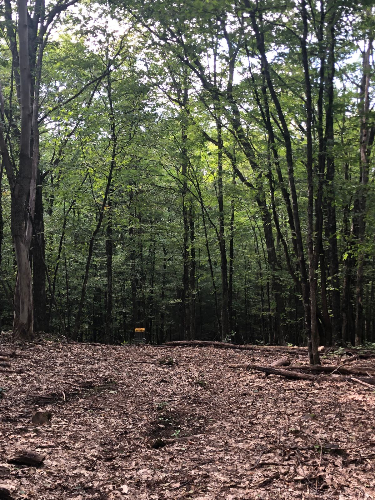 15 Approach