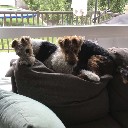 dawsoncliving