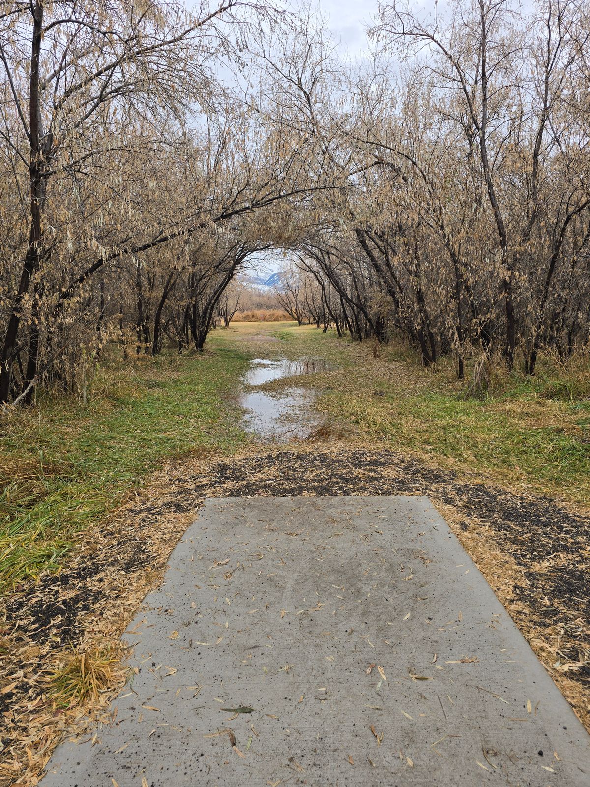 Loved this hole even with the puddles