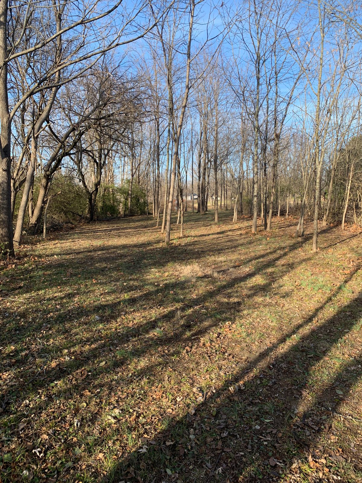 Hole 10