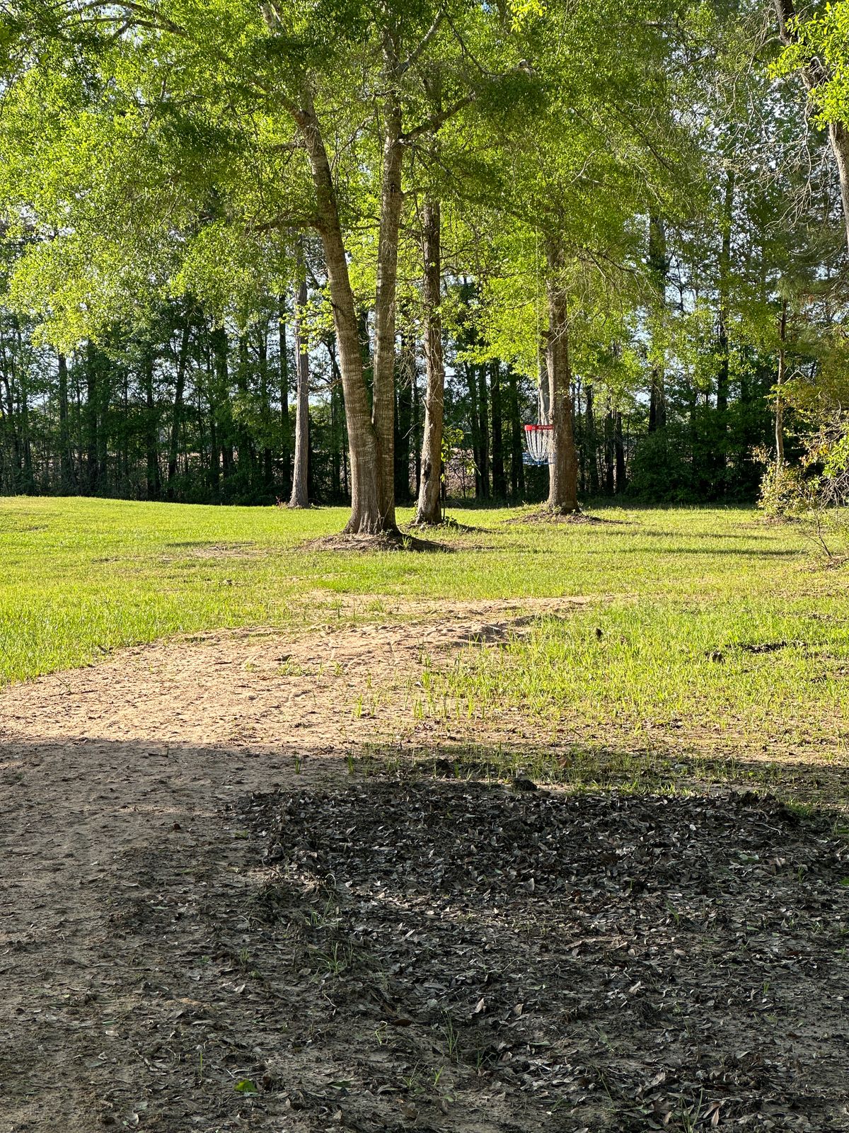 Hole 5 approach