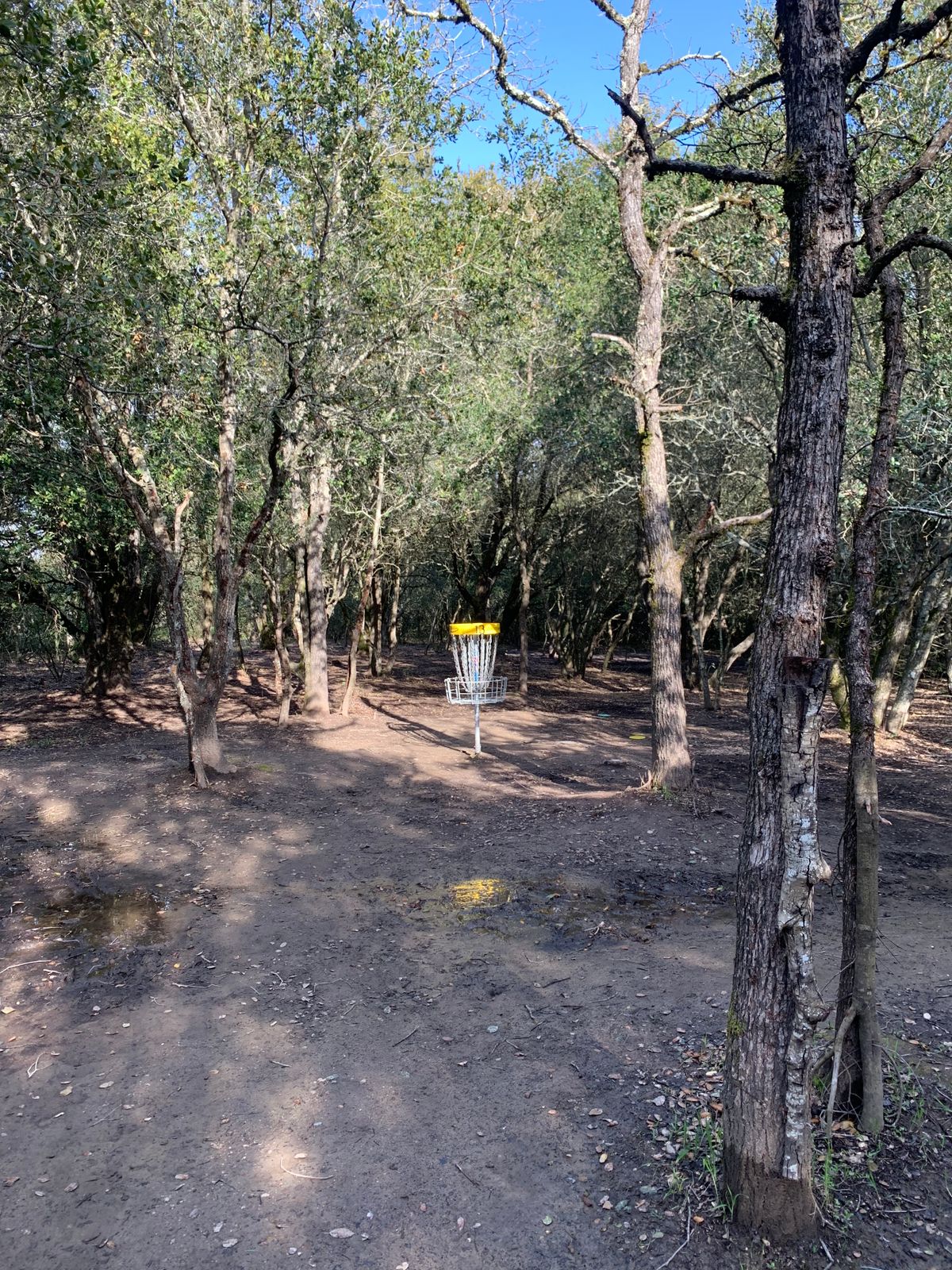 Hole 13