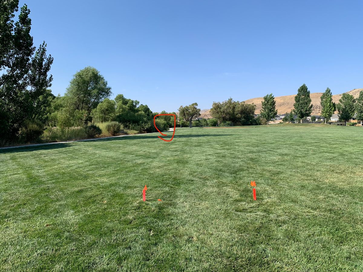 Hole 4. Behind the bench on the left hand side.