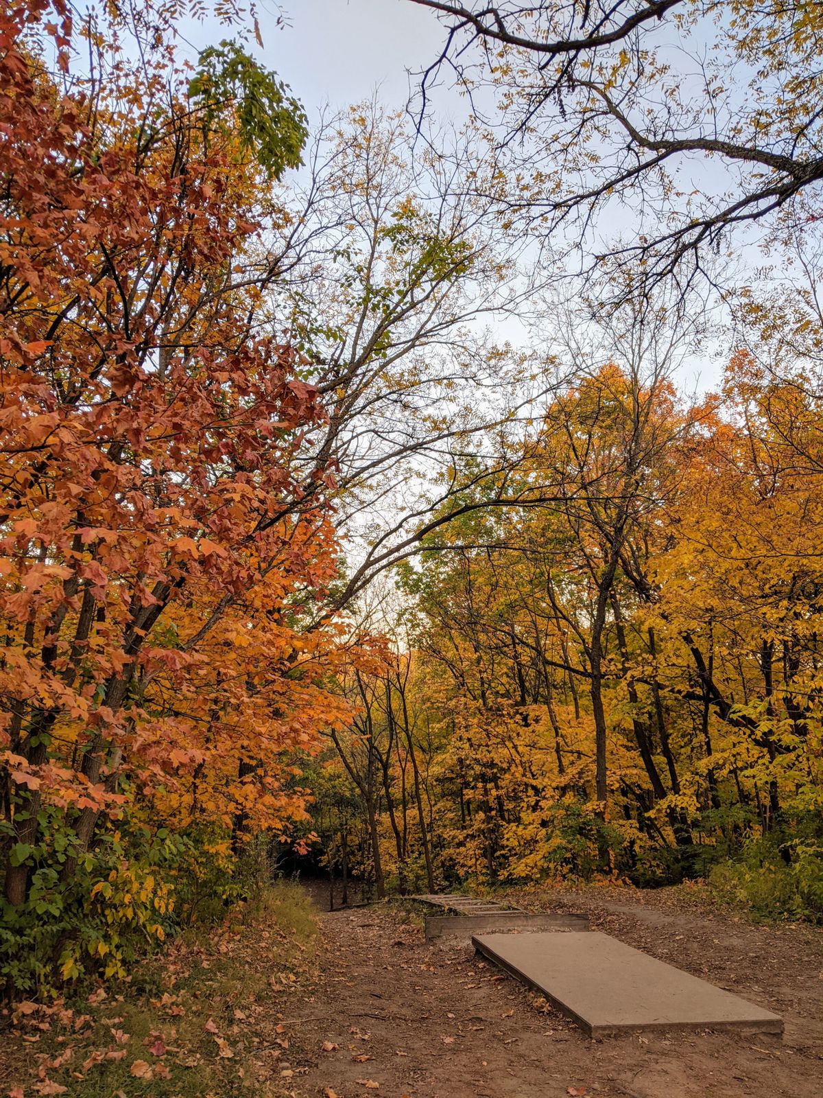 Hole 6 in the fall is so beautiful!