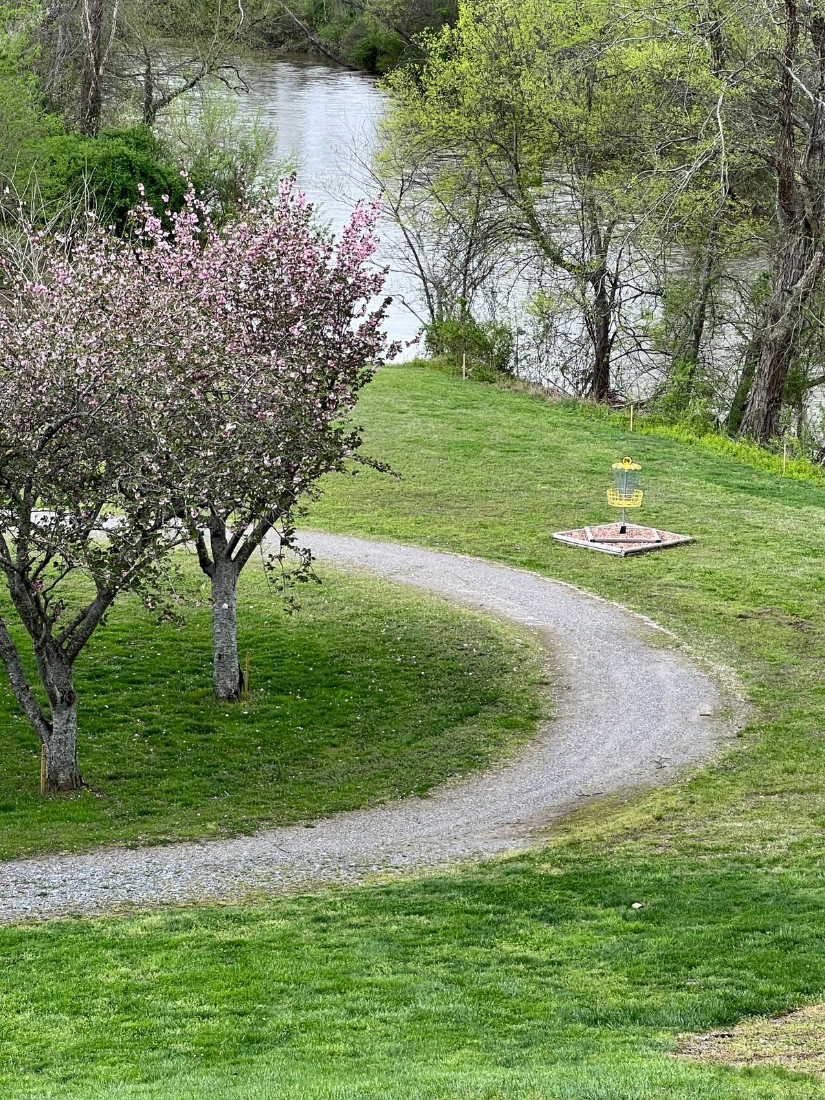 #14 goal waiting between the cherry trees and the Yadkin River.