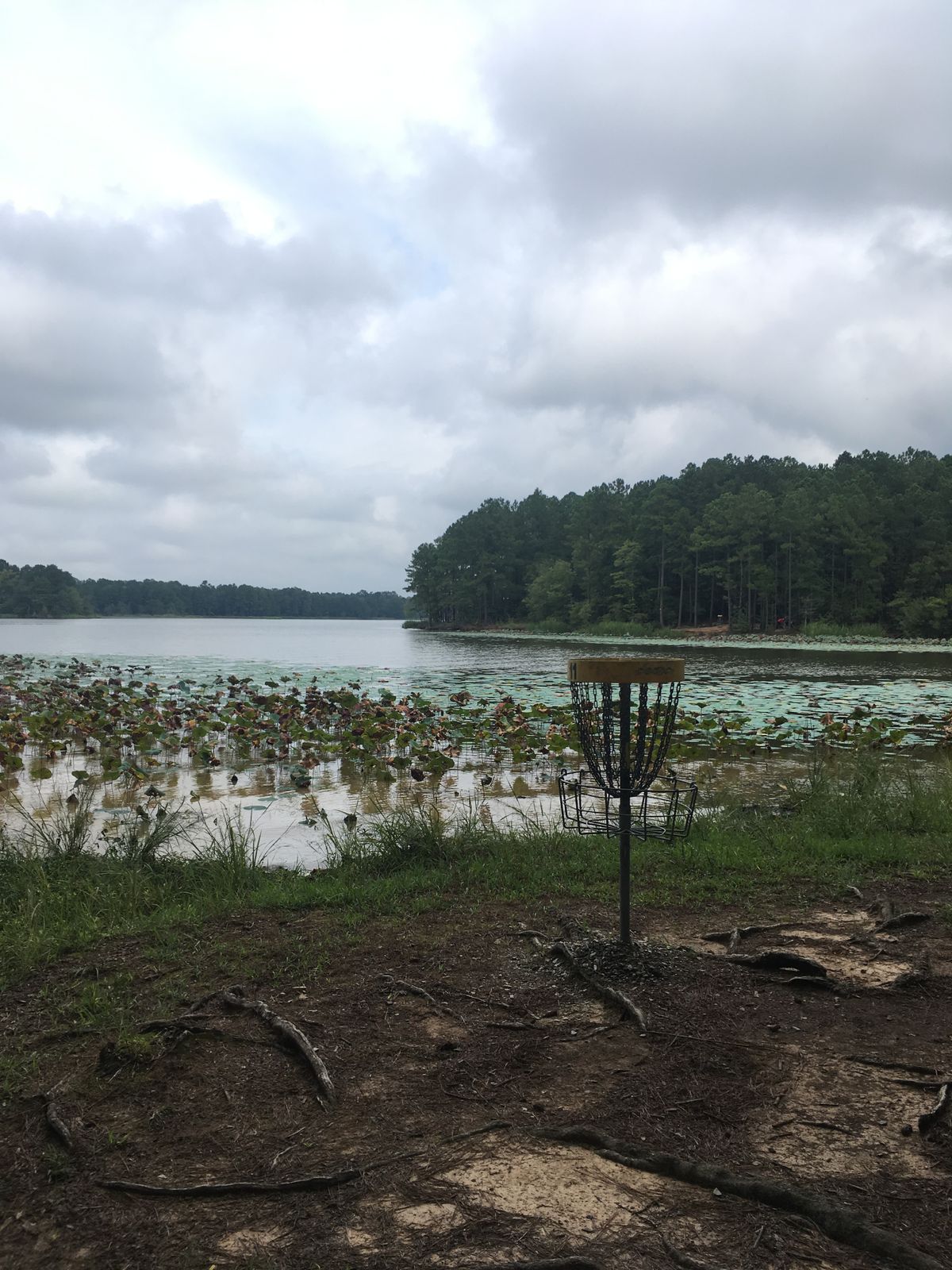 Hole #11. A beautiful shot that gets to hang over Harris Lake before crashing in to this green.