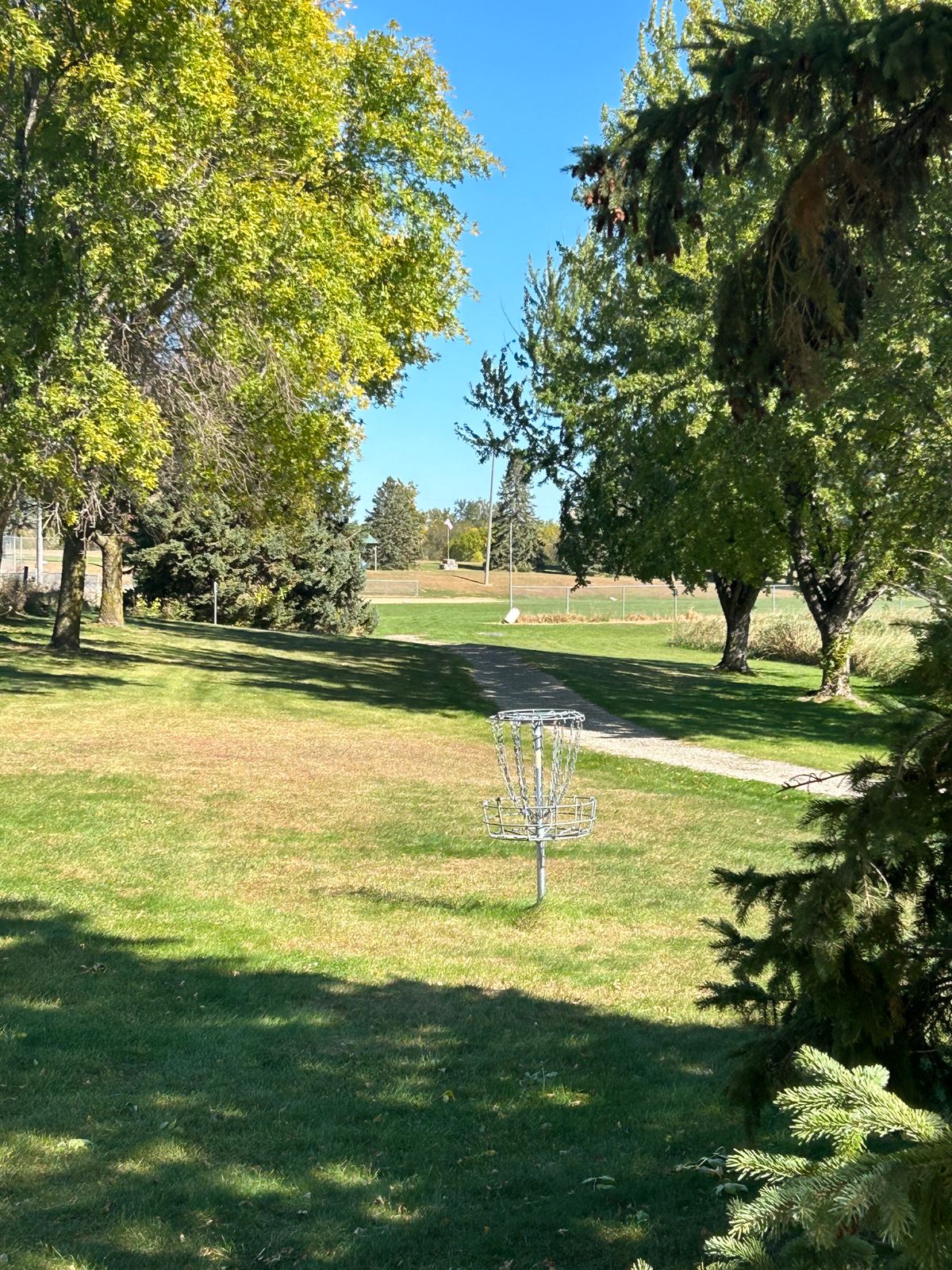 Hole 10 basket looking back toward the teepad