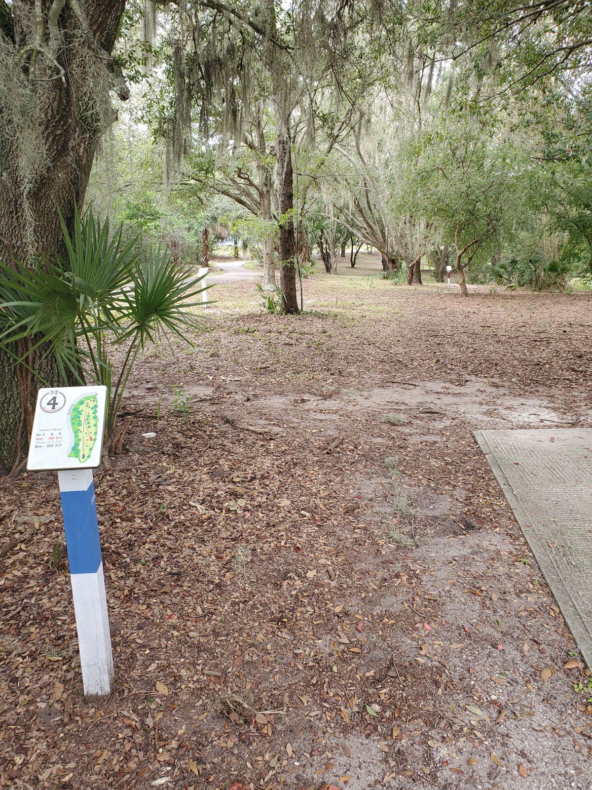 Hole 4 Blue Tee
