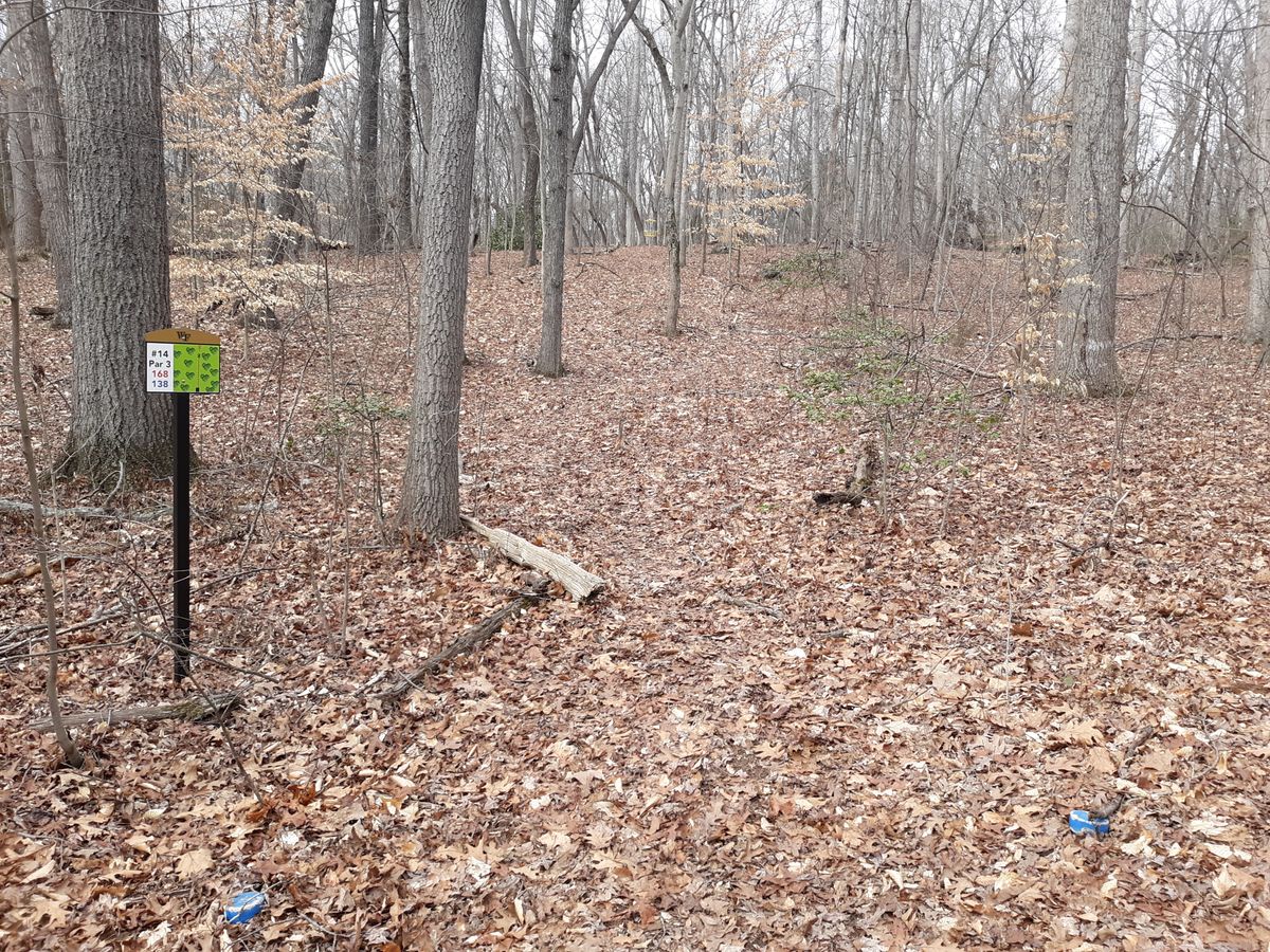 Hole 14 Blue
