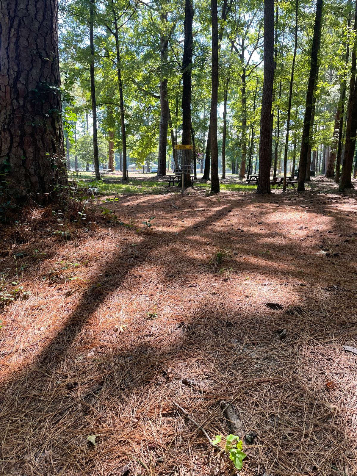 Hole #5 Approach To Long Pin