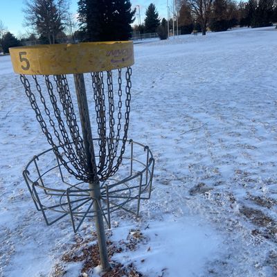Hole 5 basket