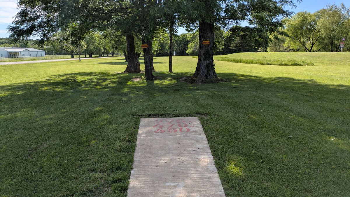 Tee #7
