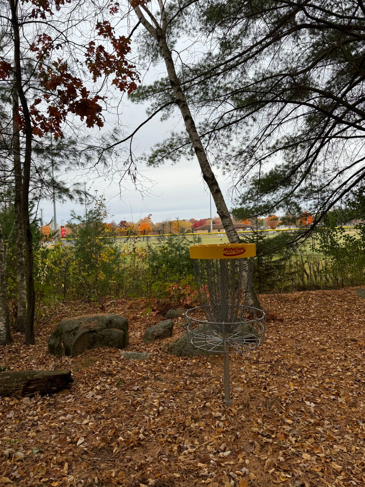 Hole 7’s basket looking towards the baseball field