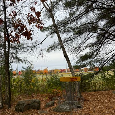 Hole 7’s basket looking towards the baseball field