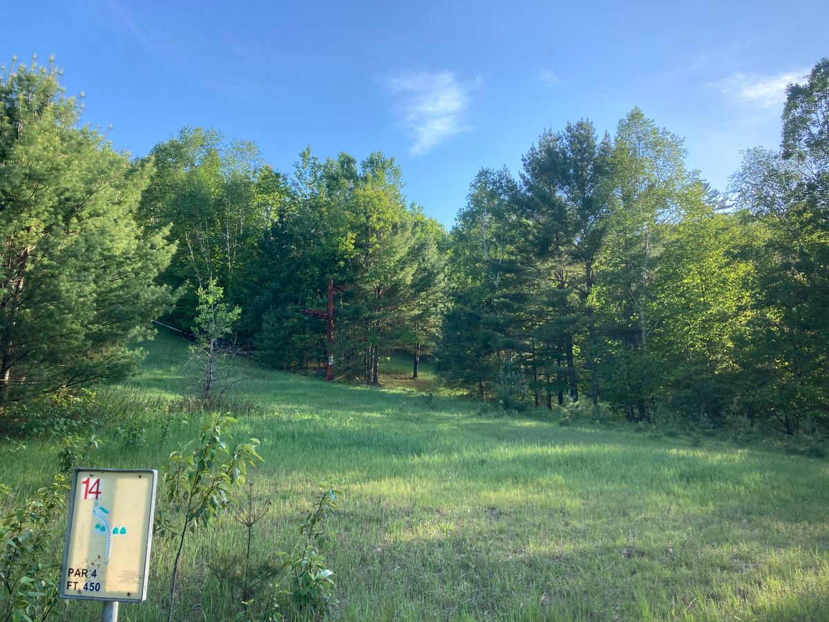 Hole 14 Tee