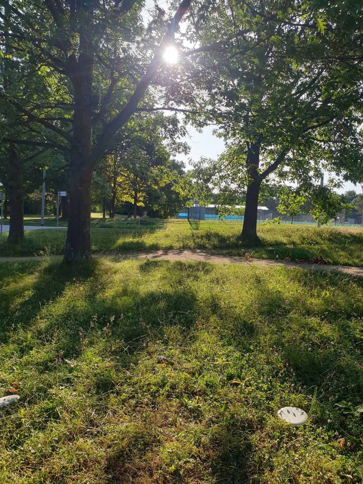Hole 6
