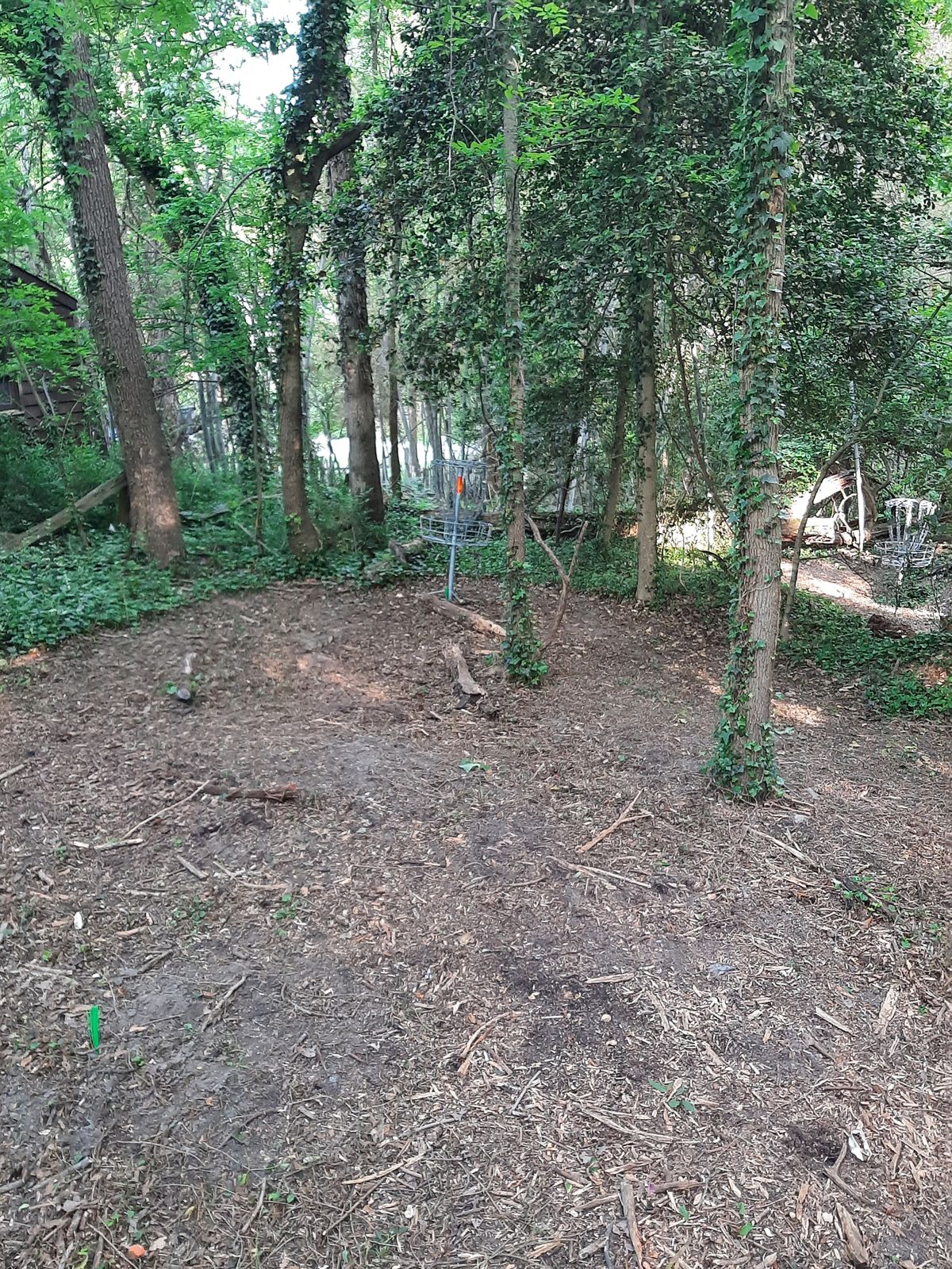Hole 15 Green B Pin