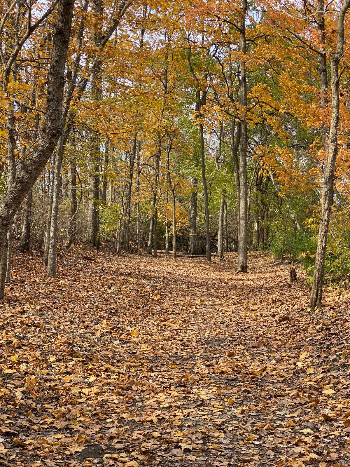 Hole 9