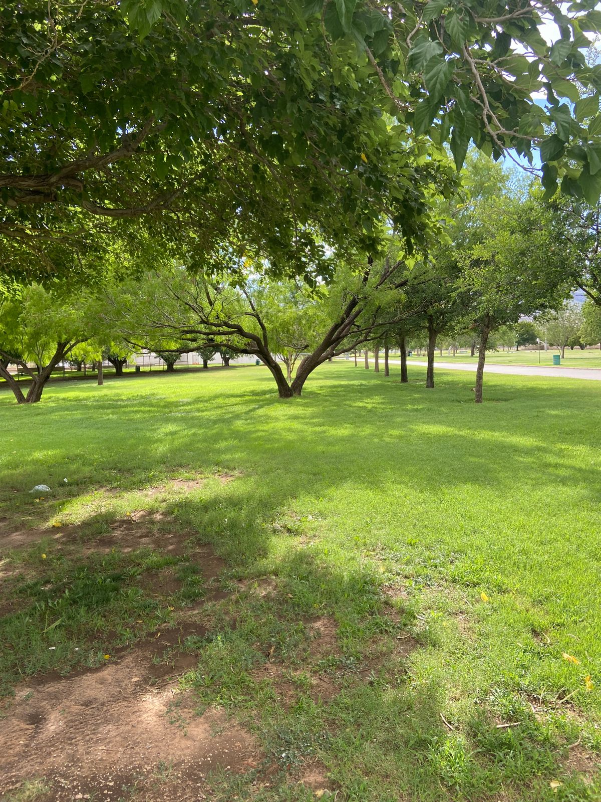Hole 10