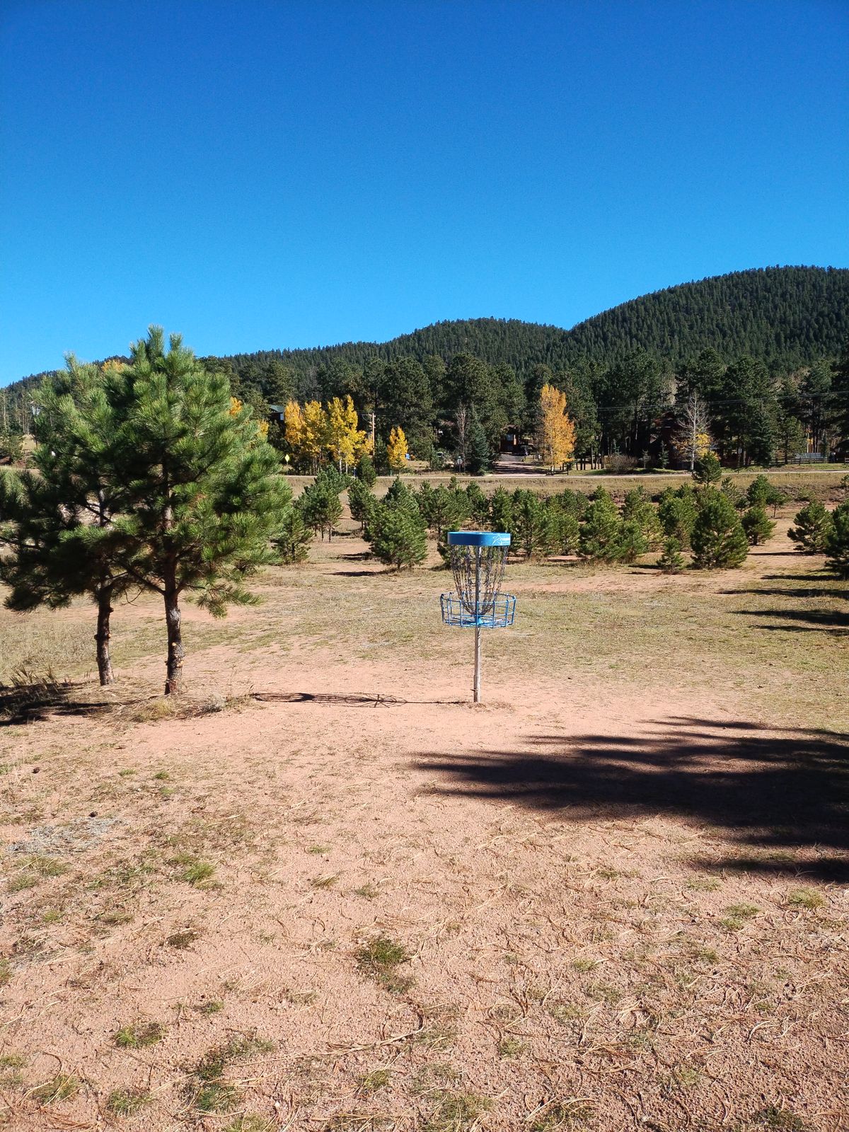 Basket 1/4 from Tee Pad 2 view