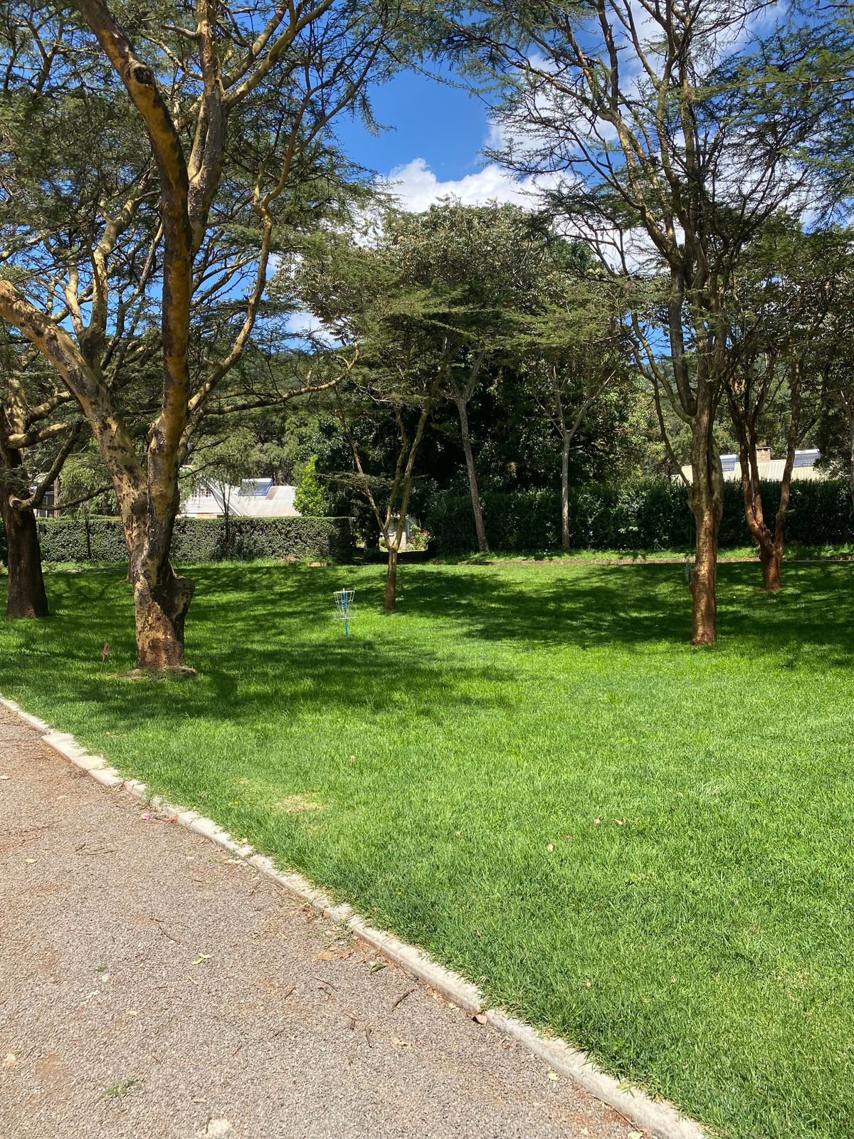 Target of hole 9