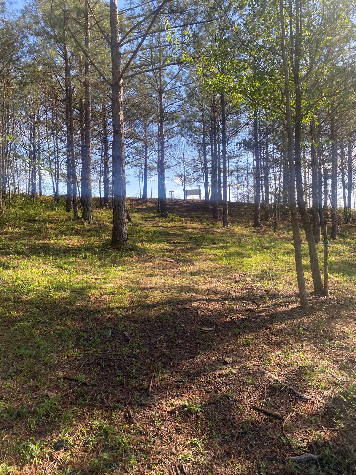 Fairway 1