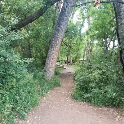 Hole 4 is best with a backhand shot.