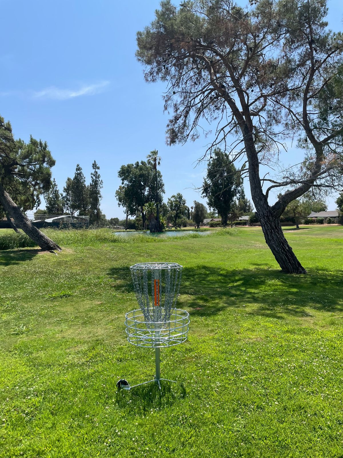 Hole 8 basket to tee view