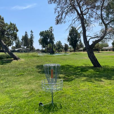 Hole 8 basket to tee view