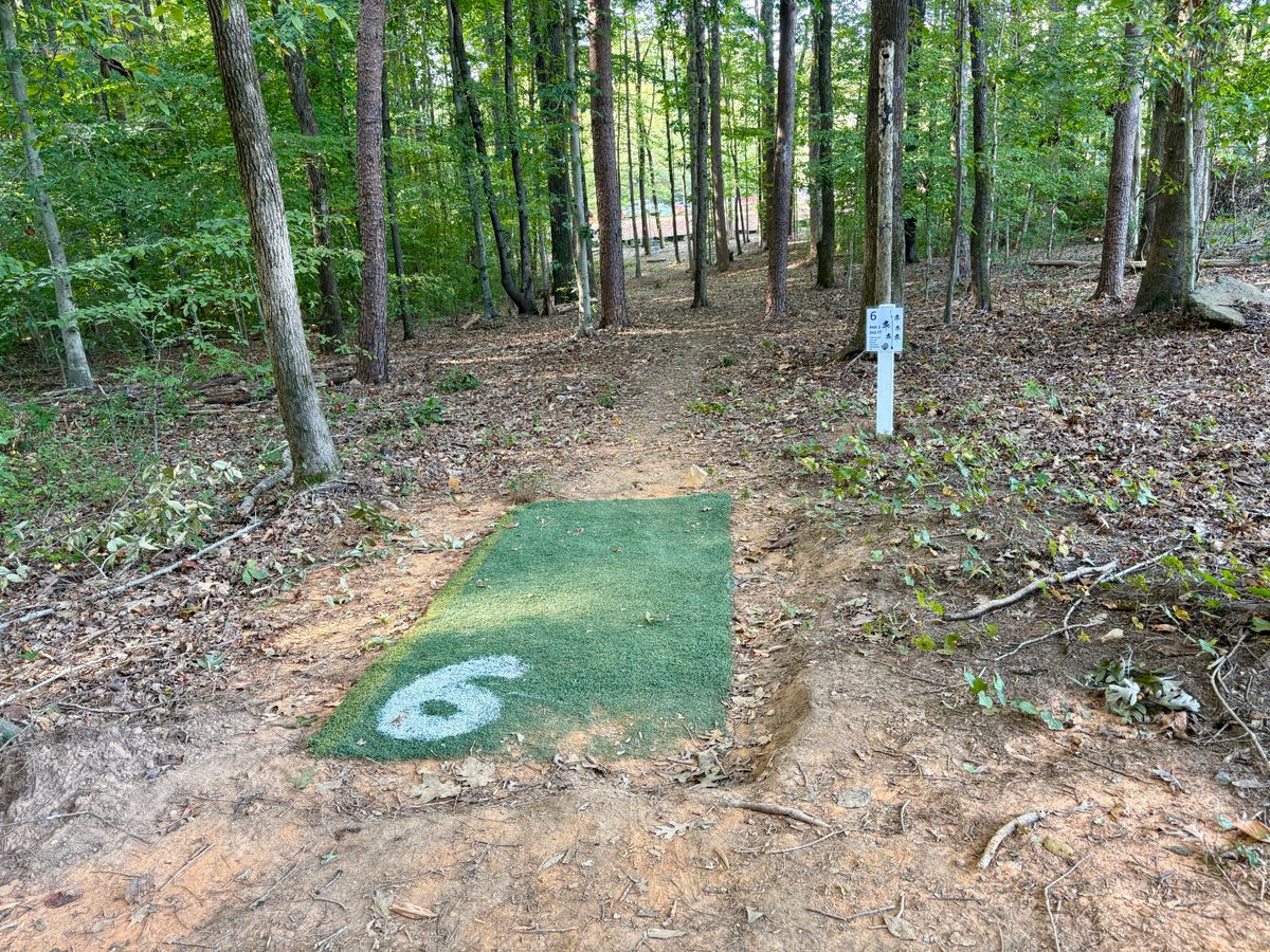 Hole 6 tee
