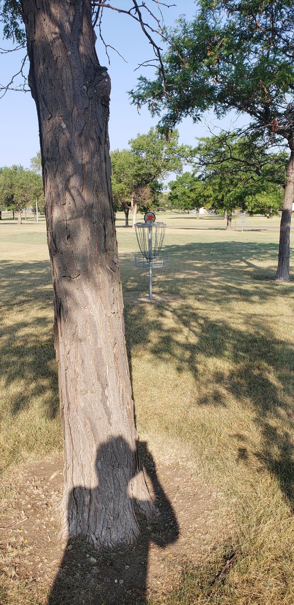 How do you rotate these photos?