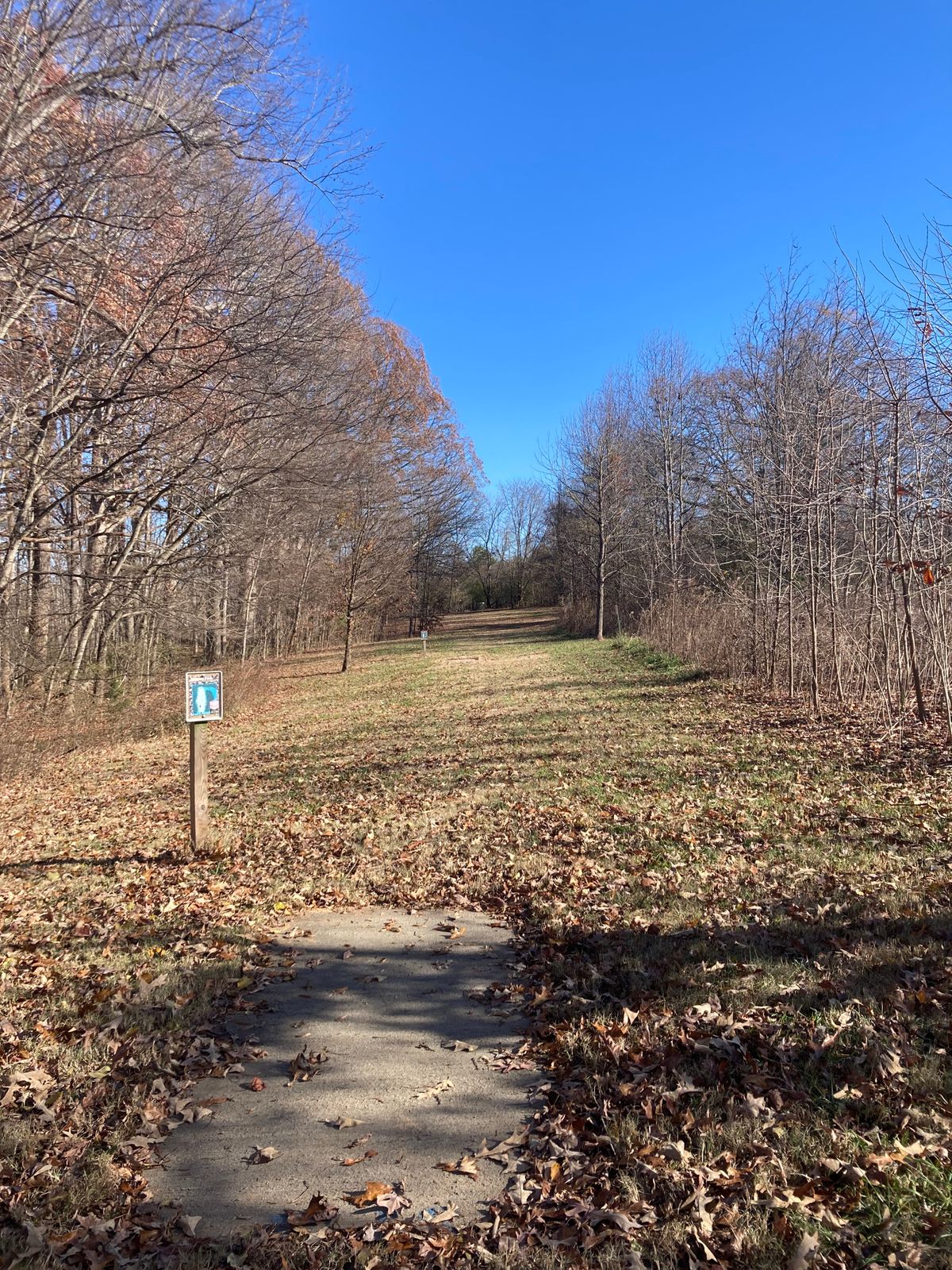 Hole 5 Long Teepad