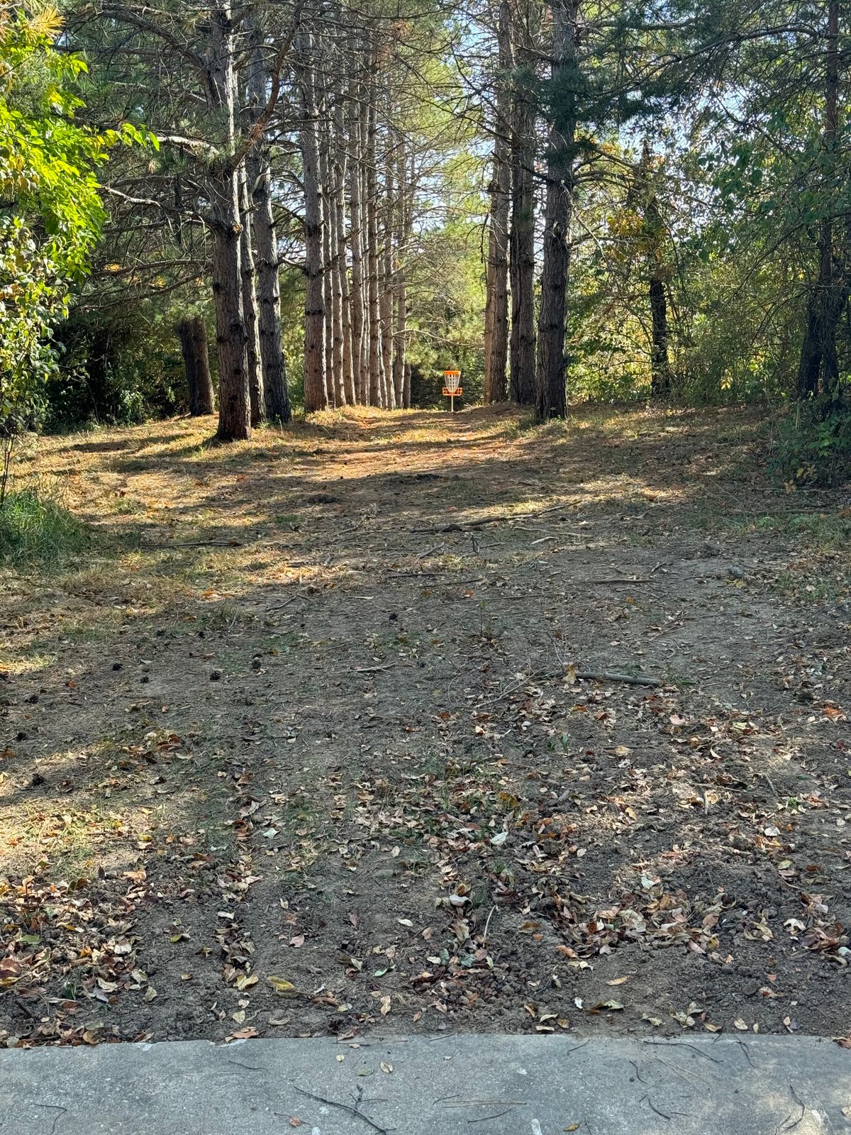 Hole 7