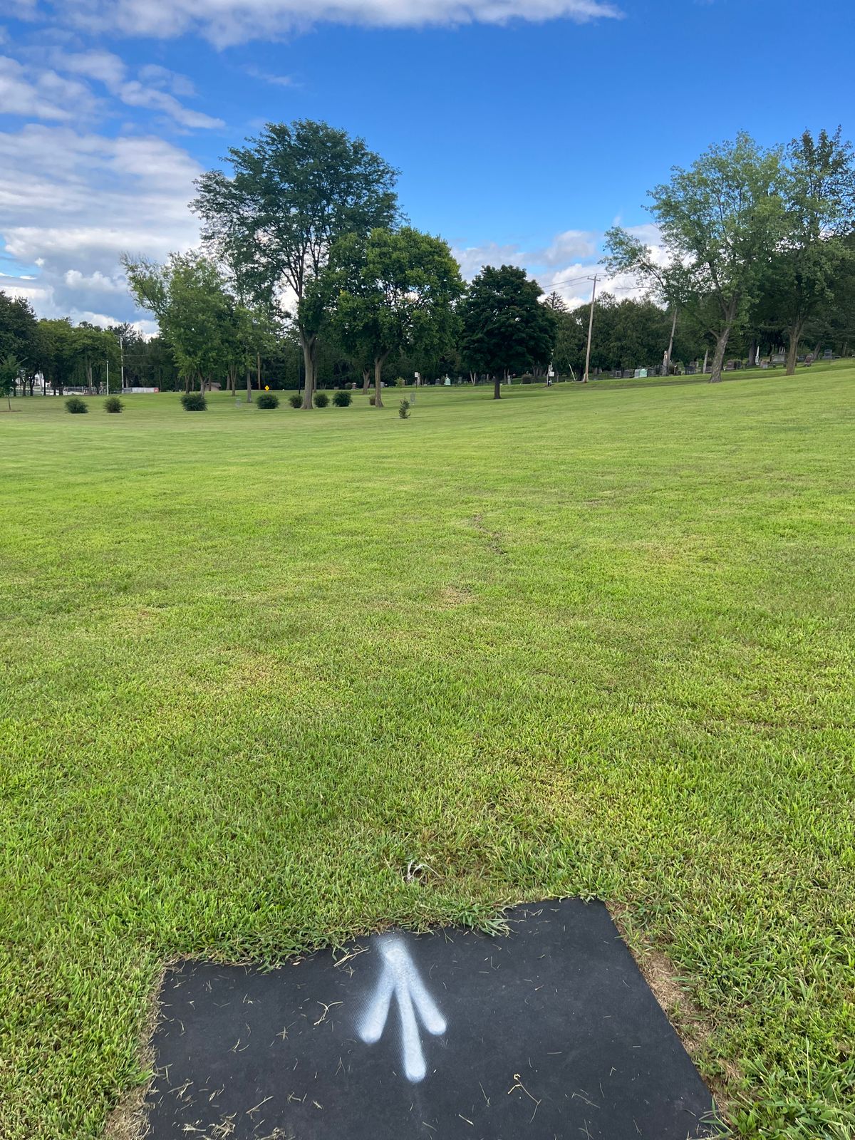 Hole 14 Tee