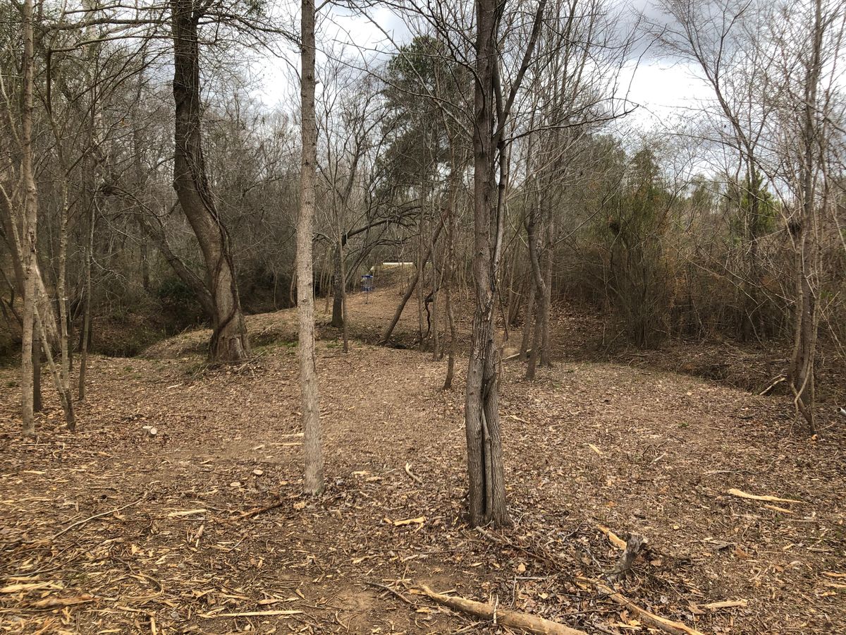 #12 approach