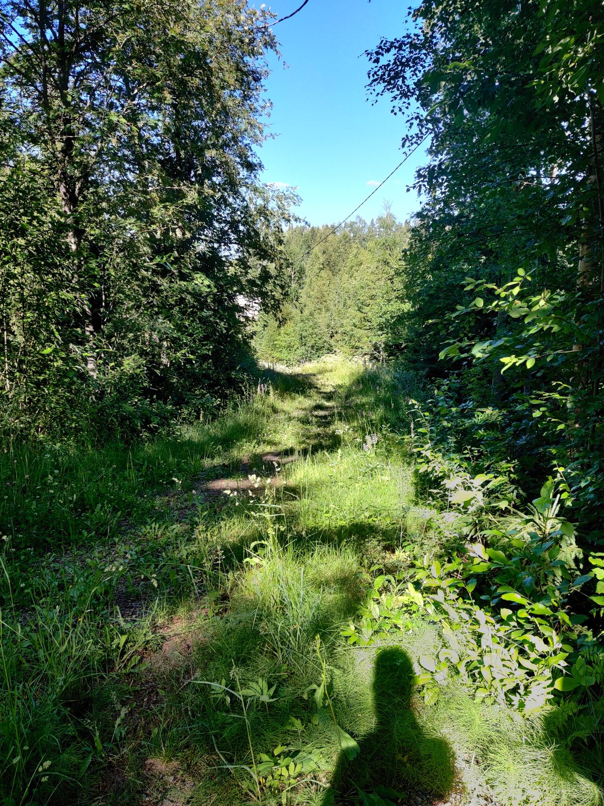 Väylä 4