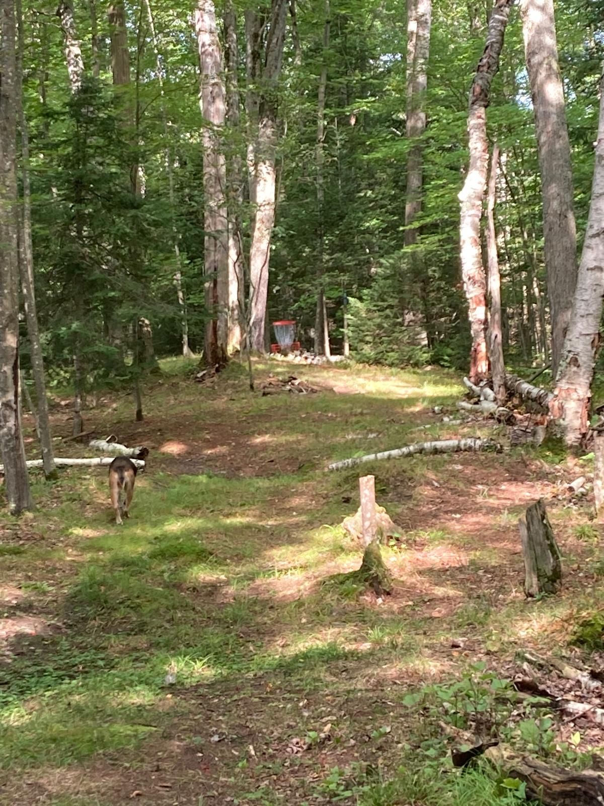 Approach Hole 7