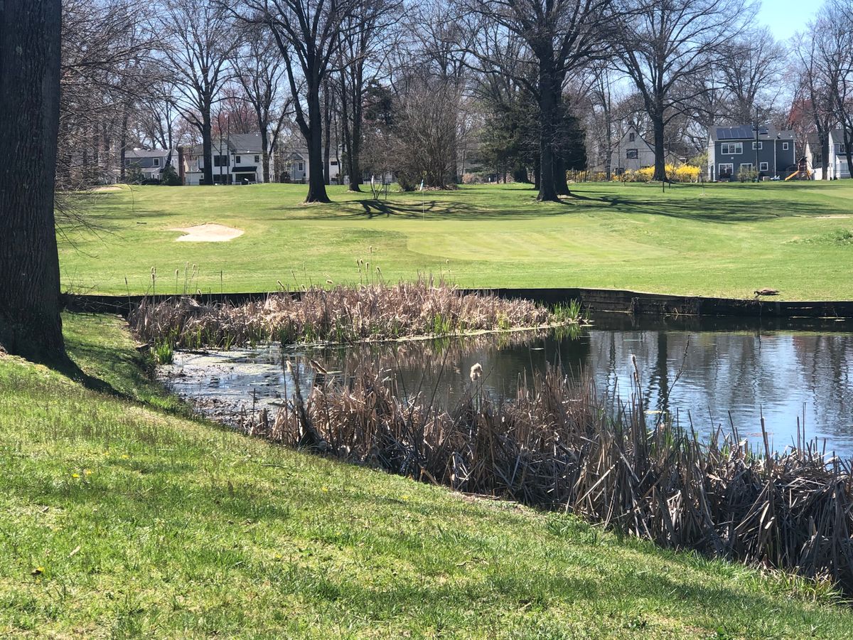 Hole 4 short tee