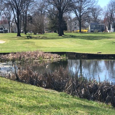 Hole 4 short tee