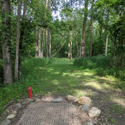 Hole 6