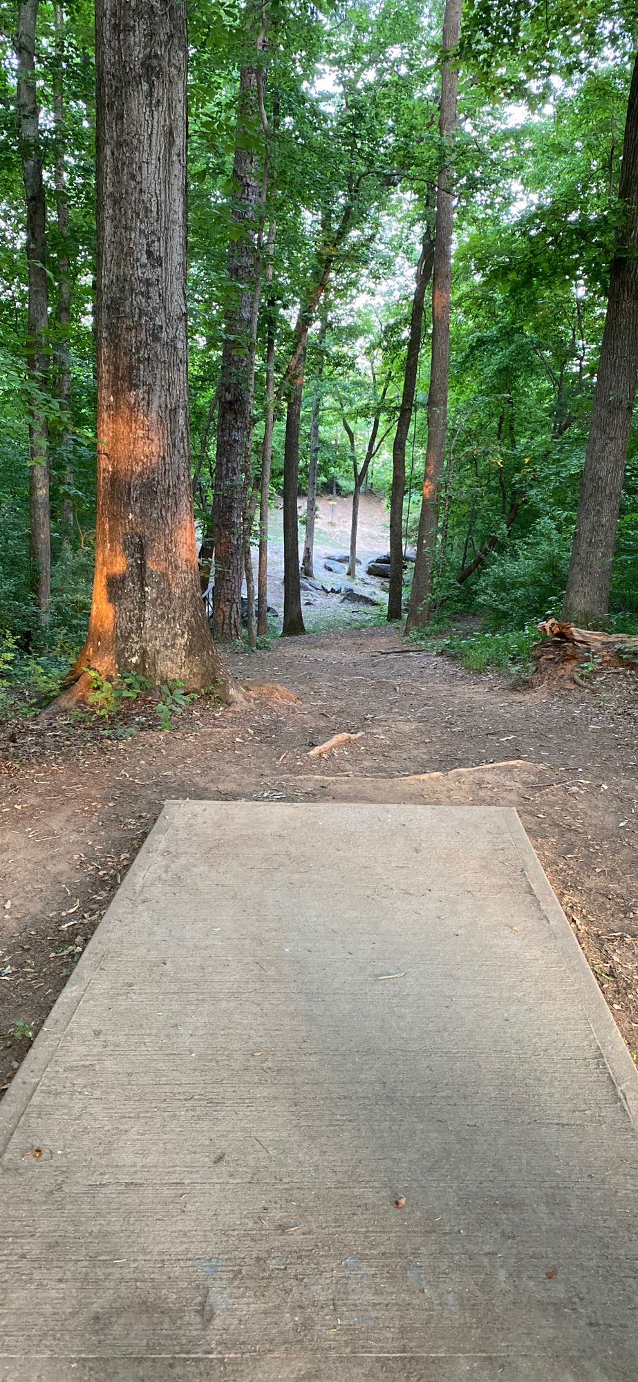 Hole 16 - 240 ft - Par 3