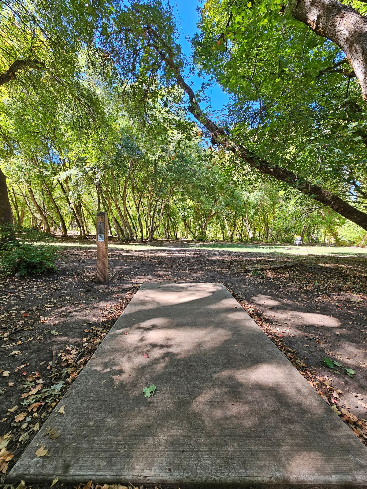 Tee Pad #15