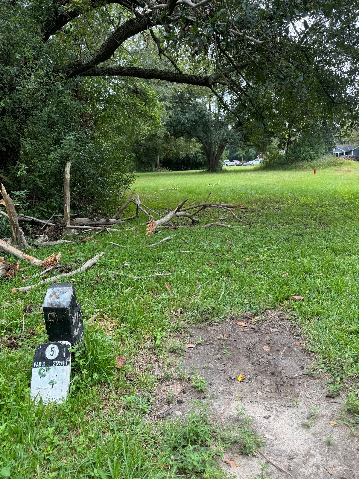 Hole 5 tee