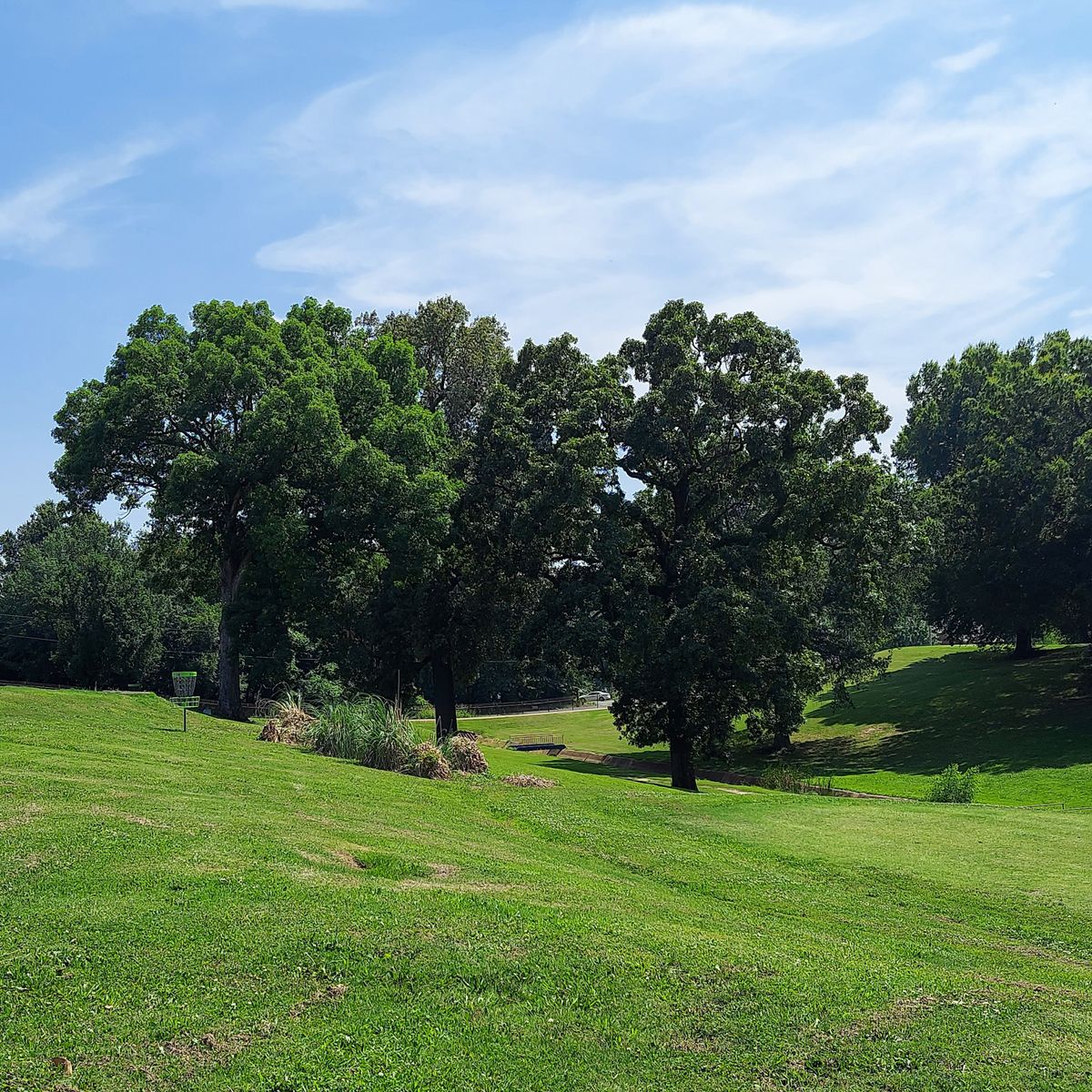 Hole 18's basket from well off the left side of the green.