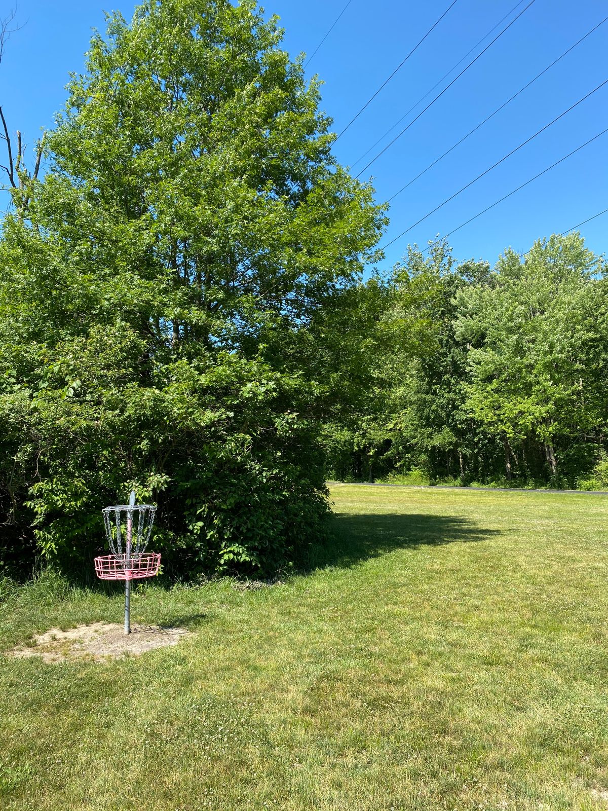 Hole 6 (Reverse)
