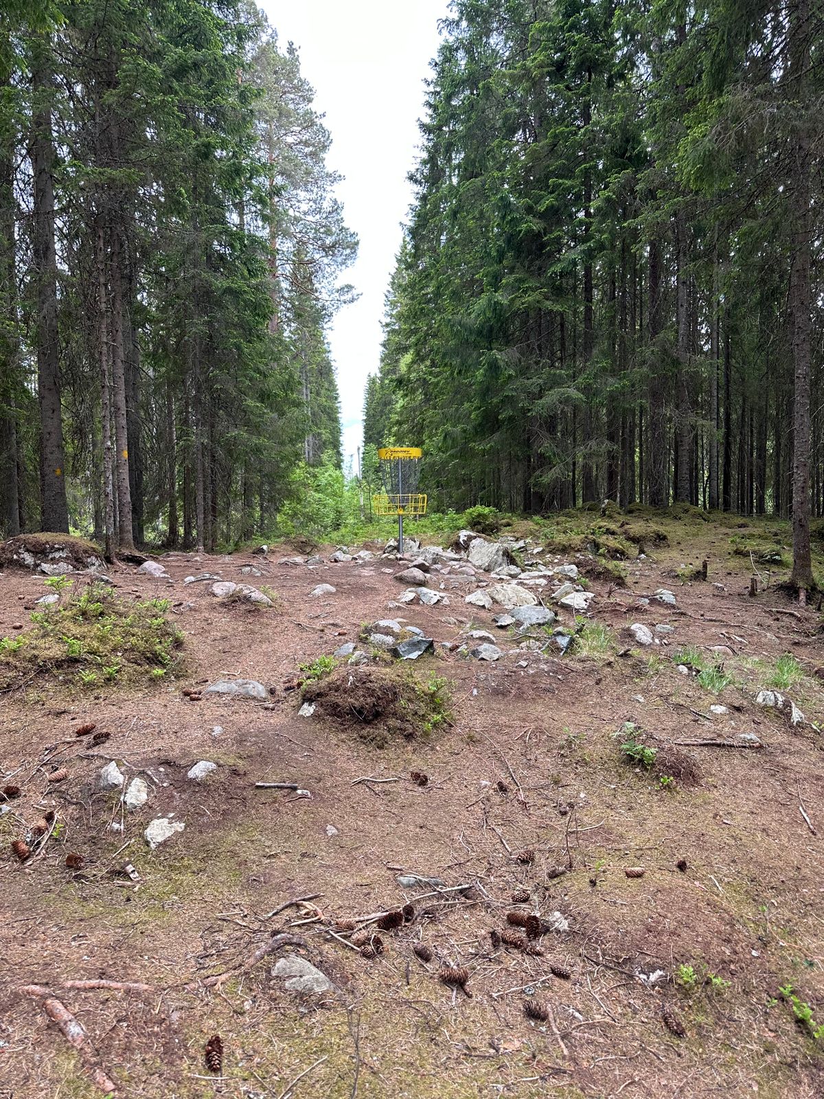Hål 15