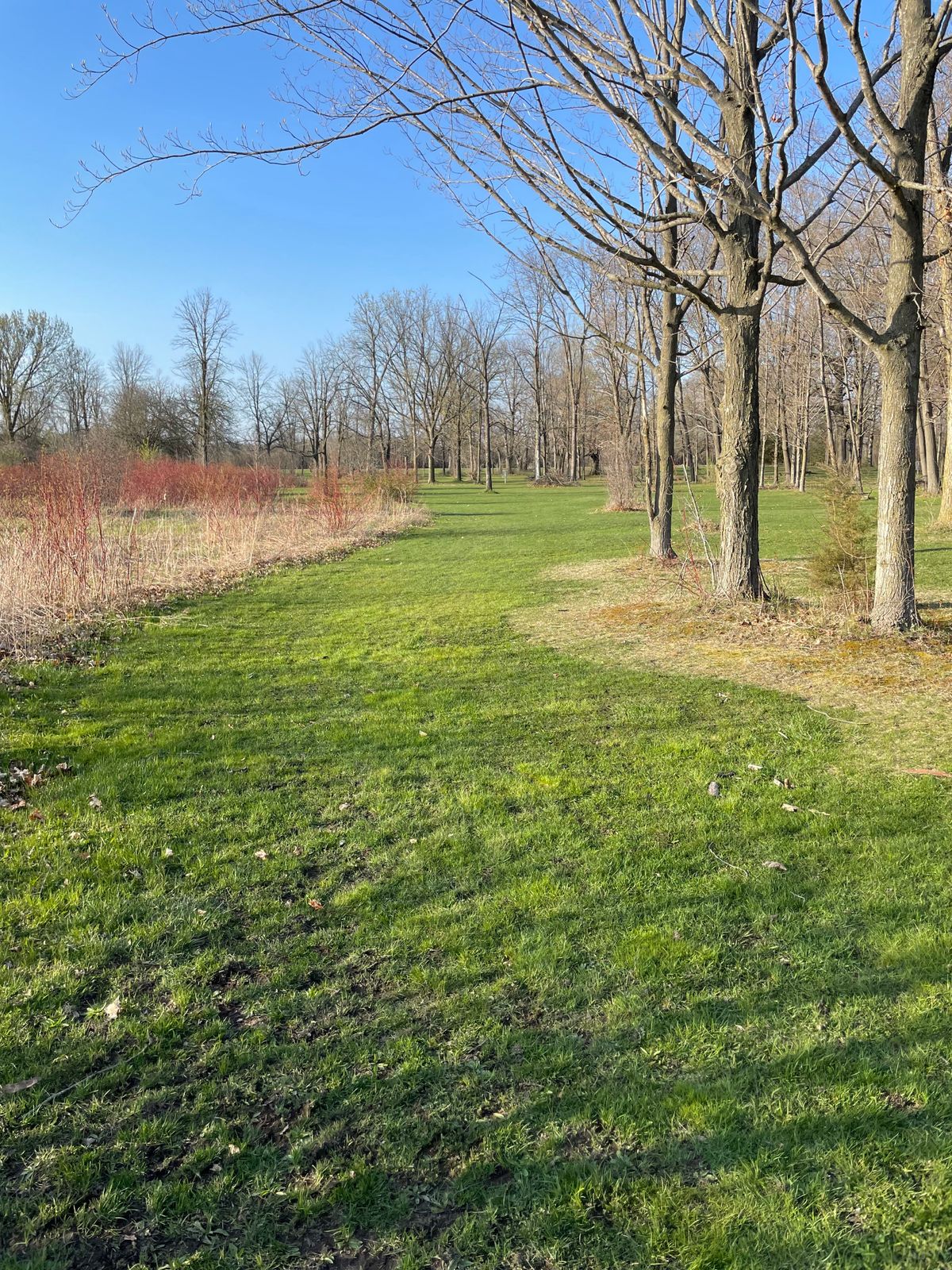 Hole 6