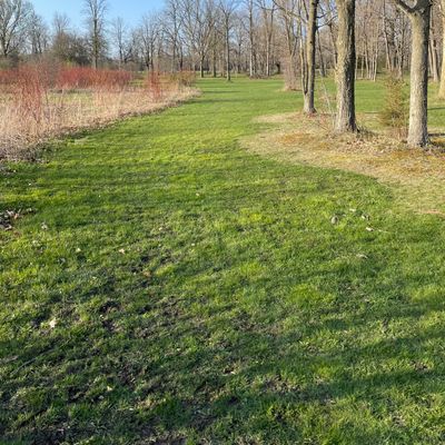 Hole 6