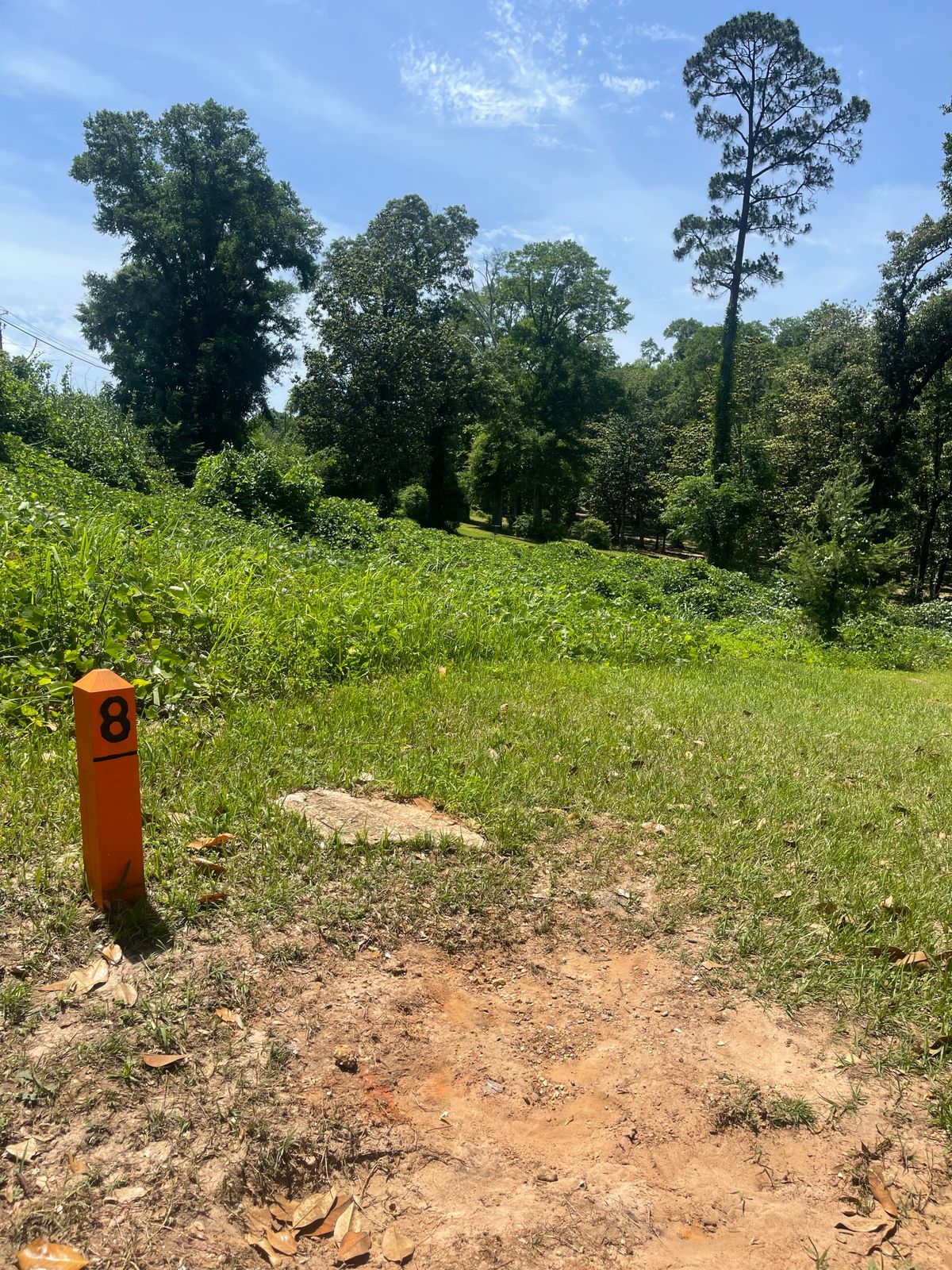 Hole 8