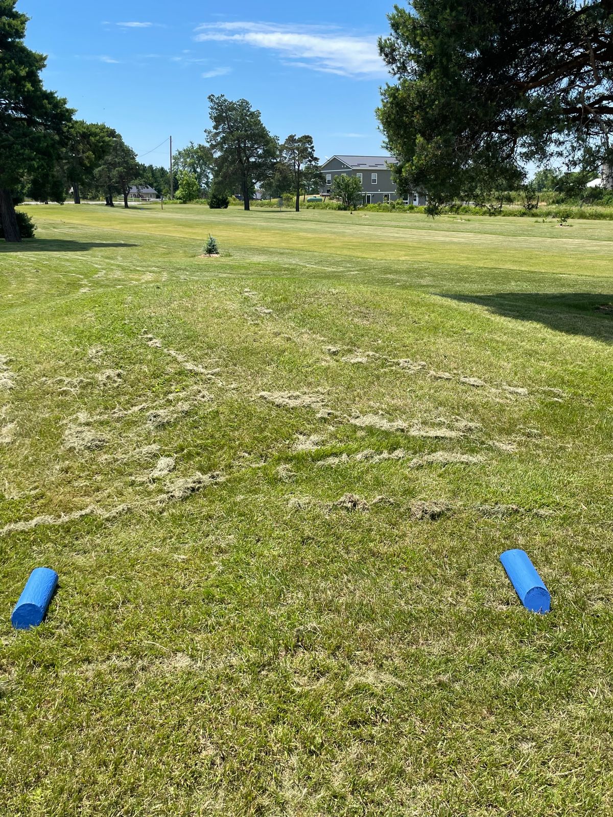 Hole 4 tee off